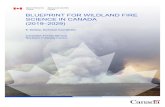 BLUEPRINT FOR WILDLAND FIRE SCIENCE IN CANADA cfs.nrcan.gc.ca/pubwarehouse/pdfs/39429.pdf Building the