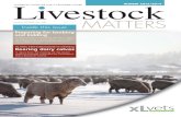 WINTER 2013/2014 Livestock - XLVets · WINTER 2013/2014 LIVESTOCK MATTERS 4 Nutrition - of dam and young The nutritional status of the ewe or doe affects the quantity and quality
