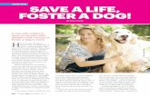 SAVE A LIFE, FOSTER A DOG! - Eastwood Ranch Foundation€¦ · SAVE A LIFE, FOSTER A DOG! By Rose Frosek INSPIRE photo volker fleck Alison Eastwood and her dog Logan. A new site makes
