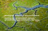 Natural Capital Committee · natural capital assets, as advised by the environment in mitigating and adapting to NCC. Without the baseline data it will be climate change. impossible