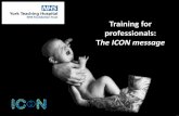 Training for professionals: The ICON message · •ICON will be discussed at several “touch-point” for all families throughout the antenatal and postnatal journey by the midwifery/SCBU