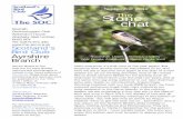 September 2012 Stone The chat - Ayrshire Birding · Waterston House Aberlady, East Lothian EH32 0PY Tel: 01875 871 330 Scotland’s Bird Club Ayrshire Branch We are always on the