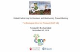 Global Partnership for Business and Biodiversity … meeting doc/GPBB Metting...Global Partnership for Business and Biodiversity Annual Meeting The Biological Diversity Protocol (Draft