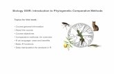 Biology 559R: Introduction to Phylogenetic Comparative Methods · Comparative methods: An overview • The development and implementation of comparative phylogenetic methods provided