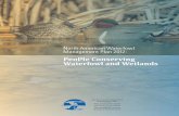 People Conserving Waterfowl and Wetlands · 2018-07-10 · populations, habitat and people that describes the universe of waterfowl management. Working together, Plan partners focused