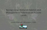 Recognizing Wetland Habitat and Management Potential on ...wisconsinbirds.org › annualmeeting2015 › Recognizing...Hardwood swamp Coniferous swamp . Wetland Plants and Plant Communities
