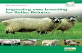 EBLEX SHEEP BRP MANUAL 9 Improving ewe breeding for Better ... › wp › wp-content › uploads › 2013 › 05 › Manual-9-I… · Four scenarios Potential value £ per ewe •