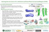 Solving the structure of a cellulose synthase Plant Conserved … · 2018-04-04 · Stauffacher, CV. The rice (Oryza sativa) Cellulose SynthaseA8 Plant-Conserved Region is an anti-parallel