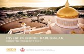 INVEST IN BRUNEI DARUSSALAM - ASEAN · brunei provides a politically stable and safe environment filled with lush greenery and boasting the 3rd cleanest air in the world. borneo,