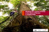 Roadmap for a green economy in the Heart of Borneo: a ... › downloads › pwc_report_gre… · Malaysia and Brunei Darussalam 25 Natural capital in the Heart of Borneo 28 Forests
