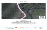 TREE INVENTORY AND 2020-2021 ORANGE CROP FORECAST · 2 – OBJECTIVE SURVEY METHOD FOR THE ORANGE CROP FORECAST ... 14807-040 | Araraquara | São Paulo | Brazil TREE INVENTORY OF