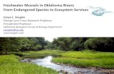 Freshwater Mussels in Oklahoma Rivers From Endangered … water day... · 2019-07-17 · Freshwater Mussels in Oklahoma Rivers From Endangered Species to Ecosystem Services Caryn