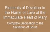 Elements of Devotion to the Flame of Love of the Immaculate … › ... › Elements-CompleteDedication.pdf · 2020-02-13 · Flame of Love - Complete Dedication 5 The Opportunity