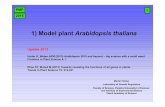 1) Model plant Arabidopsis thalianaaix-slx.upol.cz › ~fellner › doc › PMP1-2015-Fellner.pdf · 2015-03-10 · 1) Model plant Arabidopsis thaliana PMP 1 2015 Harter K, Weber
