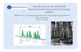 Introduction to the WADNR Riparian Forest Restoration ...•Support and overlap with other conservation goals (owls, MM) •Actively manage resources to meet goals (using state-of-the-art-thinking-