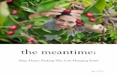 The Meantime - Step Three - Low Hanging Fruit · table of contents introduction: your sales funnel - the big picture strategy on the low hanging fruit 4 the low hanging fruit 13 1)