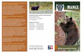 L A K E A R S doing in response to mange? MANGE · 2017-07-28 · Mange in black bears has historically been a sporadic problem involving individuals or low numbers of bears. In Pennsylvania,