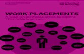 WORK PLACEMENTS - University of ReadingYEAR PLACEMENTS SOPHIE NORRIS SAP, Business Operations Analyst ‘A placement is a great opportunity to try out a career path, especially if
