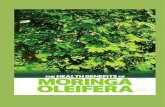 health benefits, thanks to its more than 90 nutrients, 46 different antioxidants and all 8 essential amino acids. Here is a more in depth look at the health benefit of Moringa leaves