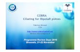 COBRA COating for BipolaR plAtes - Europa...Programme Review Days 2016 Brussels, 21-22 November. PROJECT OVERVIEW Project Information ... commercializationÆCEA & SFC ... Inscription