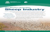 The Western Australian Sheep Industry Sheep...WA sheep industry was $478.9 million for sheep and lamb disposals (slaughter and live export) and $540.5 million for wool at the close
