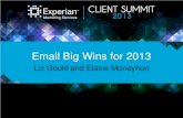 Email Big Wins for 2013 - Experian€¦ · 15% . 19% . 19% . 44% . Abandoned. cart (one. message) Abandoned. cart series. Abandoned. form or activity. Product. browse-based. Category.