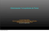 Chromosome Y et syndrome de Turner - eACLF › DESC_data › Archives › 2009 › Presentations › ... · 2016-10-05 · Exemple des isochromosomes Y dicentriques [idic(Y)] jeudi