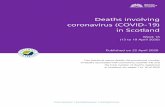 Deaths involving coronavirus (COVID-19) in Scotland · related to deaths in care homes. 56% of deaths were in hospitals and 10% of deaths were at home or non-institutional settings.