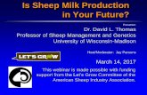 Is Sheep Milk Production in Your Future? · 3/14/2017  · sheep are now found in Canada, the U.S., and Mexico. Dairy Sheep Breeds in North American A dairy breed found in Canada