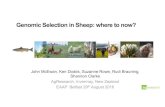 Genomic Selection in Sheep: where to now?eaap.org › Annual_Meeting › 2016_belfast › S08_01_McEwan.pdf · 2017-10-17 · • ~1000 sheep over several years and linked to Australia