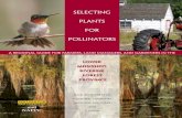 Selecting Plants for Pollinators...A Regional Guide for Farmers, Land Managers, and Gardeners In the and NAPPC Lower Mississippi Riverine Forest Province Including Parts of Mississippi,