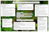 YEAR 5 – Term 1 Planning – Rainforests (Geography) › wp-content › uploads › ... · YEAR 5 – Term 1 Planning – Rainforests (Geography) Cross Curricular: Reading: The