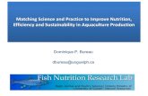 Matching Science and Practice to Improve Nutrition ...C.Y. Cho and S.J. Slinger 1969-2001 •Feed formulations –open feed formulae concept –Low fish meal, economical, low pollution
