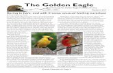 The Golden Eagle › resources › ... · Grants and Awards burtnerlibby@hotmail.com Libby Burtner 208-473-0870. May-June 2019 The Golden Eagle 3 News From the ... Volunteer Acknowledgments