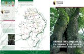 Arbres remArquAbles - patrimoine culturel · 2019-11-04 · aux «photos) forces » de l’arbre. Les centenaires se font bien rares ! Il est donc d’autant plus heureux de les retrouver