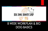 8 WEEK WORKPLAN & BIG DOG BASICS › srcf › assets › File › 8 WEEK WORKPLAN... · 2016-04-05 · Having BIG DoG right after another large event was daunting but it forced us