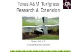 Texas A&M Turfgrass Research & Estensionwatershedplanning.tamu.edu/media/662219/hejl... · • Weed, Insect, & Disease Control in Turfgrass • Healthy Lawns/Healthy Waters Research