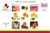 TROPICAL FRUIT CONGRESS · 2018-09-13 · The market that awaits us PRODUCT COLOMBIAN EXPORTS (Millions USD) 2016 WORLD TRADE (Millions USD) 2016 % PARTICIPATIO N COLOMBIA Fruits