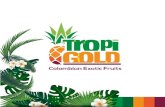 brochure Tropigold Web (2)tropi-gold.com/assets/brochure-tropigold-web-(2).pdf · 2019-05-09 · Colombian Exotic Fruits Our main objective is to bring exotic and tropical Colombian