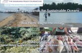 Asia-Pacific Day for the Ocean - Homepage | ESCAP · Share of protected area and inbound tourist arrival (2015) in Pacific SIDS Pipap.Spre and South Pacific Tourism Organisation 2016