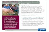 Prevent the Spread of Flu between People and Pigs at Fairs. › ... › prevent-spread-flu-pigs-at-fairs.pdf · 2017-10-06 · There are ways to reduce the spread of influenza viruses