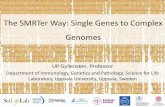 The SMRTer Way: Single Genes to Complex Genomes › files.pacb.com › pdf › Ulf... · •Targeted long-read sequencing of regions of high medical importance (HLA, Trinucleotide