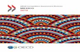 OECD Competition Assessment Reviews: Mexico · Nava Sesma, Director; Rafael Navarro Aceves, Director of Planning; Victor Hugo Osorio Gordillo, Director of LPG Regulation Analysis;