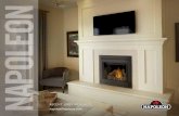 ASCENT TM GAS FIREPLACES - Canadian Chimney€¦ · ASCENT TM GAS FIREPLACES ... Fireplaces. 3 FIND YOUR HAPPY (fire)PLACE. Throughout the ages, people have gathered around fires