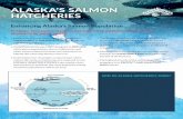 ALASKA’S SALMON HATCHERIES · mark can later be ‘read’ to determine in which hatchery the salmon originated, and allows harvest managers to differentiate hatchery fish from