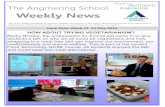 The Angmering School Weekly News › wp-content › uploads › 2016 › 05 › The... · 2016-05-16 · Lloris. He travelled to London to the ProDirect store near Soho for this VIP