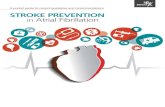 A pocket guide to current guidelines and recommendations ...€¦ · A pocket guide to current guidelines and recommendations STROKE PREVENTION in Atrial Fibrillation Atrial fibrillation