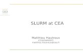 SLURM at CEA · 2016-06-24 · M. Hautreux SLURM User Group 2010 21 TERA-10 feedback TERA-10 batch environment In-house LSF/RMS (Platform/Quadrics) hybrid approach LSF for batch submission