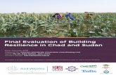 Final Evaluation of Building Resilience in Chad and Sudan … · Date: February 2018 Prepared for: Concern Worldwide Consortium Coordinating Unit Name: Mo Ali, Kate Hutton, Julia