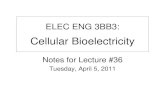 ELEC ENG 3BB3: Cellular Bioelectricity › ~ibruce › courses › EE3BB3... · Cellular Bioelectricity Notes for Lecture #36 Tuesday, April 5, 2011. 2. Brain Computer-Interface (BCI)